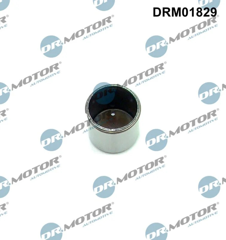 Črpalka, visokotlačna črpalka Dr.Motor Automotive DRM01829