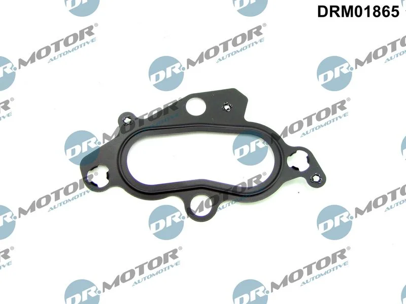 Gasket, coolant flange Dr.Motor Automotive DRM01865