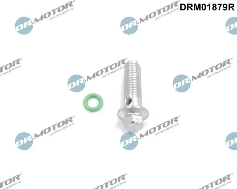 Komplet za popravilo, oljna črpalka Dr.Motor Automotive DRM01879R
