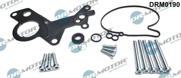 Komplet za popravilo, vakuumska črpalka (zavorni sistem) Dr.Motor Automotive DRM0190