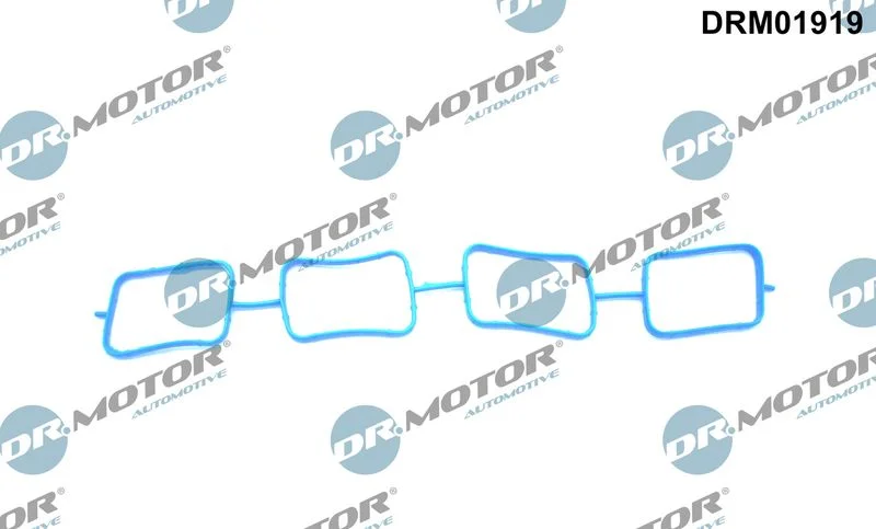 Tesnilo, sesalni kolektor Dr.Motor Automotive DRM01919