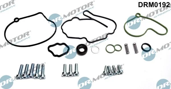 Komplet za popravilo, vakuumska črpalka (zavorni sistem) Dr.Motor Automotive DRM0192