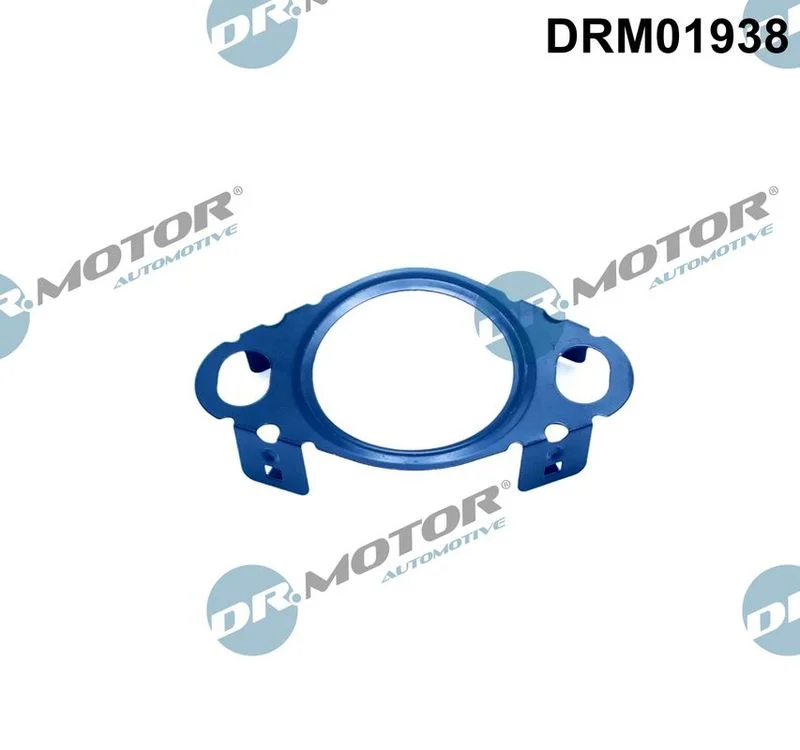 Tesnilo, cev EGR ventila Dr.Motor Automotive DRM01938