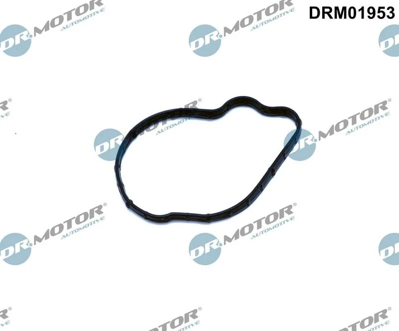 Tesnilo, črpalka za vbrizgavanje Dr.Motor Automotive DRM01953