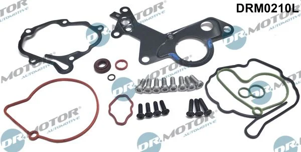 Komplet za popravilo, vakuumska črpalka (zavorni sistem) Dr.Motor Automotive DRM0210L