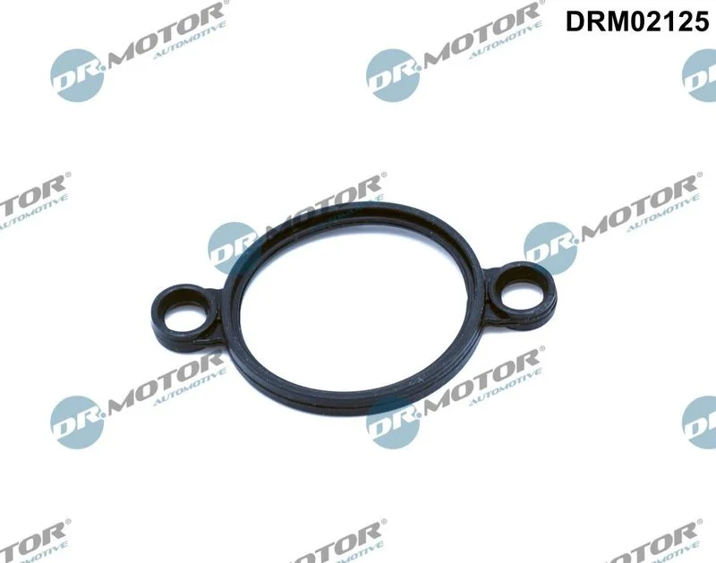 Tesnilo, regulacijski element (ekscentrična gred) Dr.Motor Automotive DRM02125
