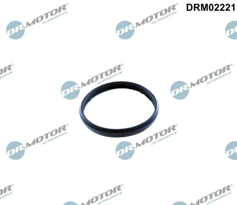 Tesnilo, napenjalec zobate verige Dr.Motor Automotive DRM02221
