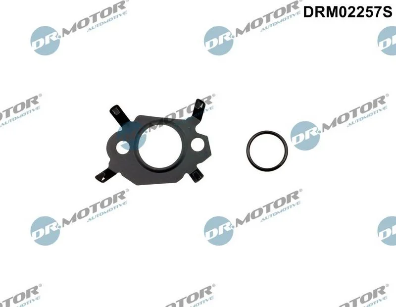 Komplet tesnil, sistem EGR Dr.Motor Automotive DRM02257S