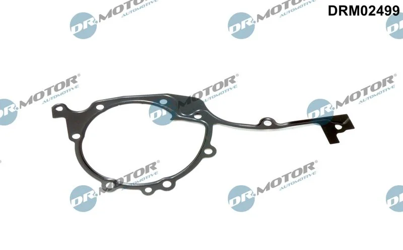 Gasket, timing case Dr.Motor Automotive DRM02499