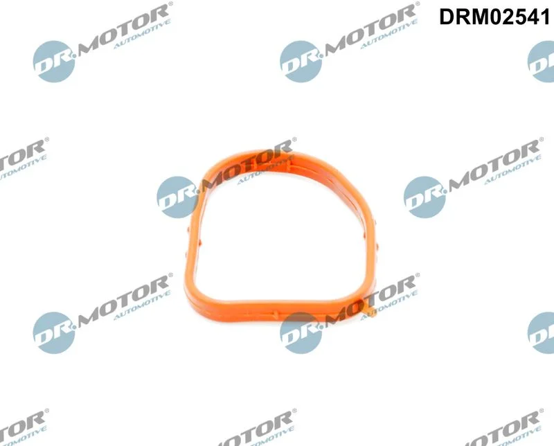 Gasket, coolant flange Dr.Motor Automotive DRM02541