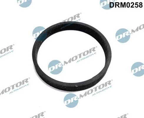 Tesnilo, dovodni kanal turbine (polnilec) Dr.Motor Automotive DRM0258