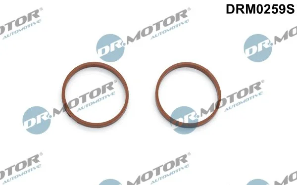 Gasket Set, intake manifold Dr.Motor Automotive DRM0259S