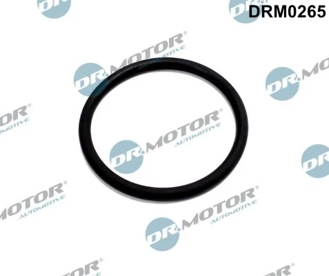 Tesnilo, cev EGR ventila Dr.Motor Automotive DRM0265