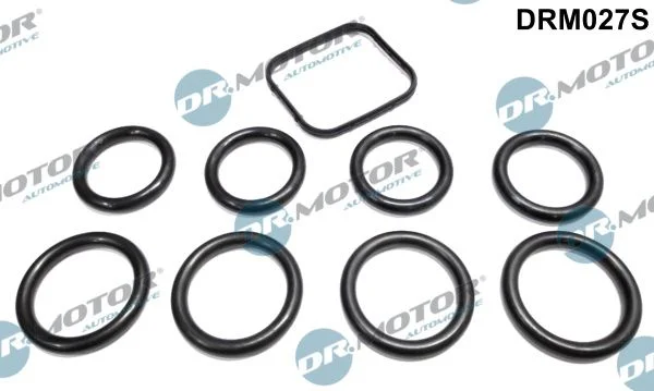 Komplet tesnil, sesalni kolektor Dr.Motor Automotive DRM027S