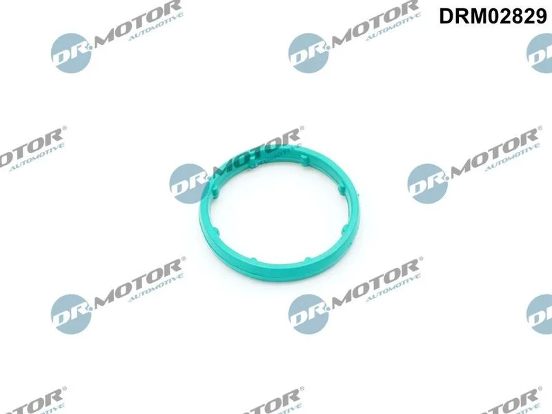 Tesnilo, hladilnik olja Dr.Motor Automotive DRM02829
