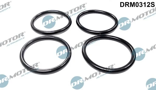 Komplet tesnil, sesalni kolektor Dr.Motor Automotive DRM0312S