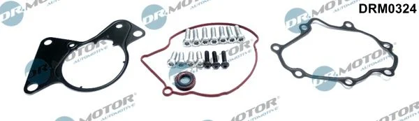 Komplet za popravilo, vakuumska črpalka (zavorni sistem) Dr.Motor Automotive DRM0324
