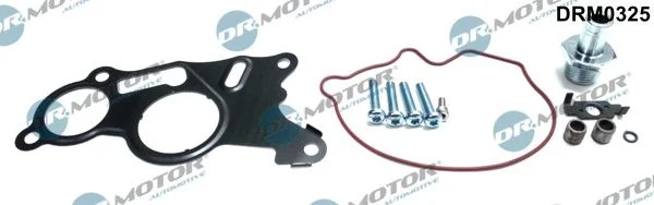 Komplet za popravilo, vakuumska črpalka (zavorni sistem) Dr.Motor Automotive DRM0325