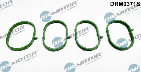 Komplet tesnil, sesalni kolektor Dr.Motor Automotive DRM0371S