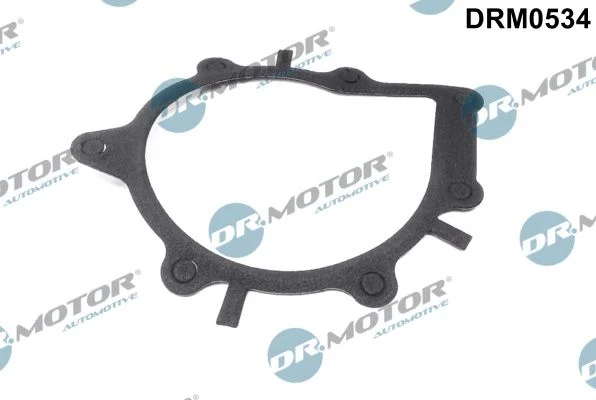 Gasket, water pump Dr.Motor Automotive DRM0534