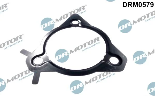 Tesnilo, črpalka za vbrizgavanje Dr.Motor Automotive DRM0579