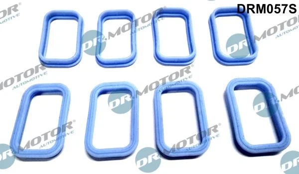 Komplet tesnil, sesalni kolektor Dr.Motor Automotive DRM057S