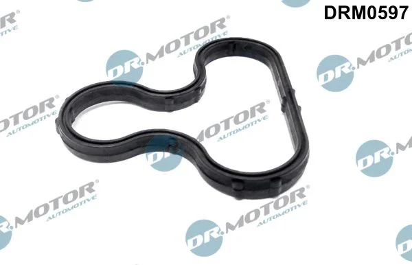 Repair Set, alternator Dr.Motor Automotive DRM0597