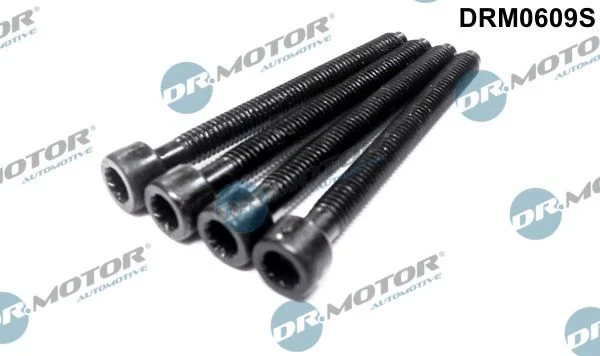 Vijak, držalo injekcijske šobe Dr.Motor Automotive DRM0609S