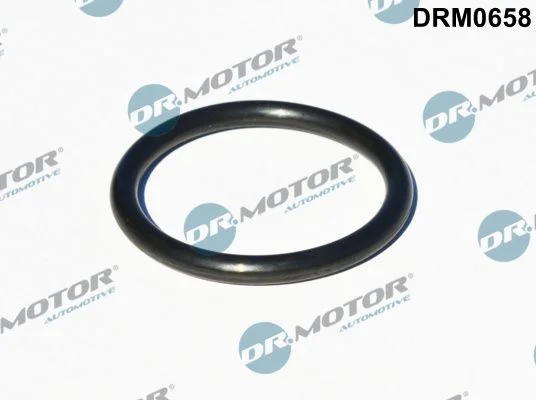 Tesnilo, dovodni kanal turbine (polnilec) Dr.Motor Automotive DRM0658