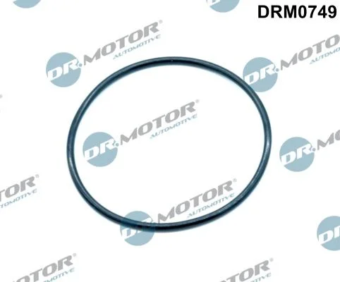Tesnilo, EGR ventil Dr.Motor Automotive DRM0749