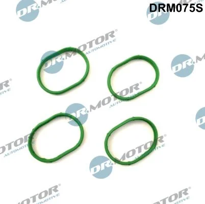 Komplet tesnil, sesalni kolektor Dr.Motor Automotive DRM075S