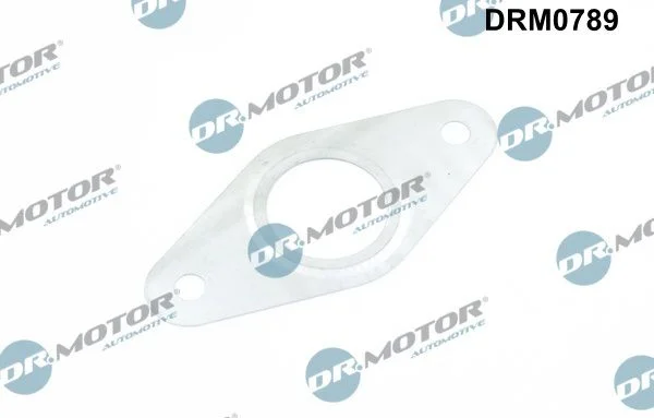 Tesnilo, cev EGR ventila Dr.Motor Automotive DRM0789