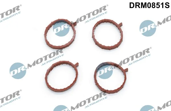 Komplet tesnil, sesalni kolektor Dr.Motor Automotive DRM0851S