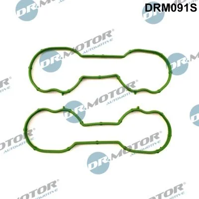 Komplet tesnil, sesalni kolektor Dr.Motor Automotive DRM091S