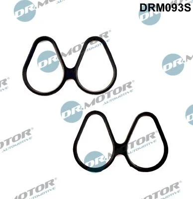 Komplet tesnil, sesalni kolektor Dr.Motor Automotive DRM093S