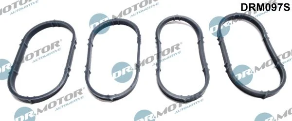 Komplet tesnil, sesalni kolektor Dr.Motor Automotive DRM097S