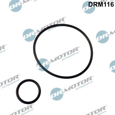 Gasket Set, intake manifold Dr.Motor Automotive DRM116