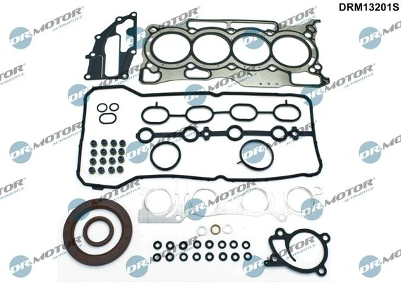 Celoten komplet tesnil, motor Dr.Motor Automotive DRM13201S