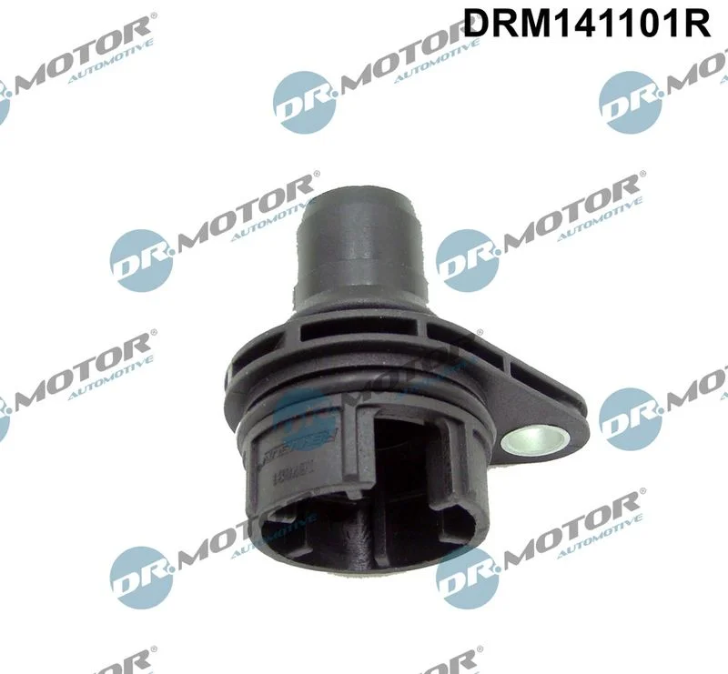 Cev, EGR ventil Dr.Motor Automotive DRM141101R
