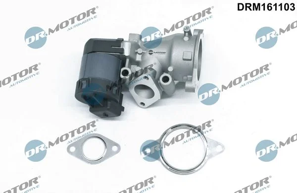 EGR Valve Dr.Motor Automotive DRM161103