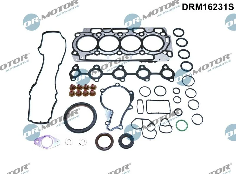 Celoten komplet tesnil, motor Dr.Motor Automotive DRM16231S