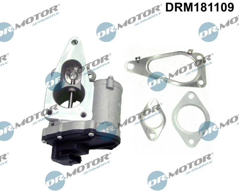 EGR Valve Dr.Motor Automotive DRM181109