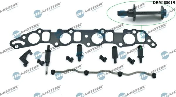 Komplet za popravilo, modul sesalnega kolektorja Dr.Motor Automotive DRM18801R