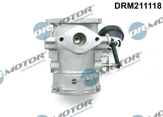 EGR Valve Dr.Motor Automotive DRM211118