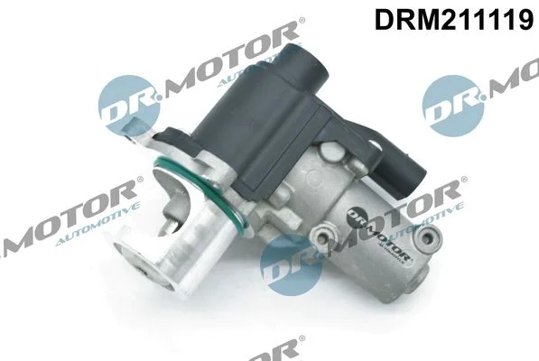 EGR Valve Dr.Motor Automotive DRM211119
