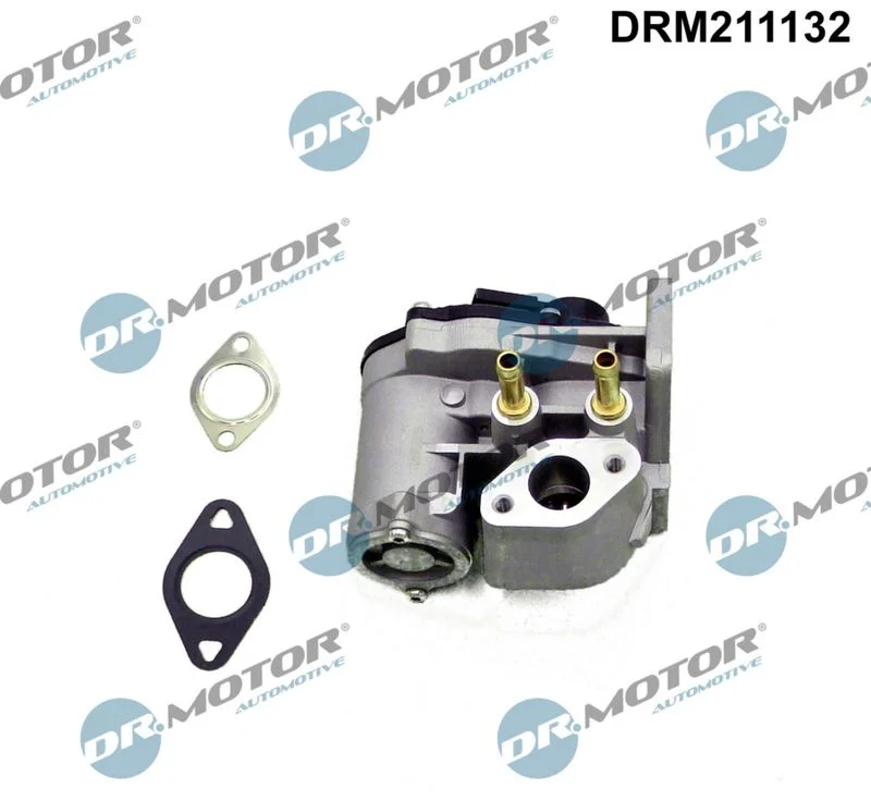 EGR Valve Dr.Motor Automotive DRM211132