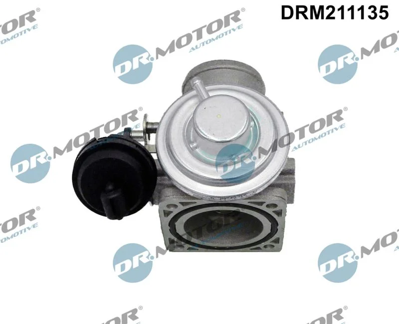 EGR Valve Dr.Motor Automotive DRM211135
