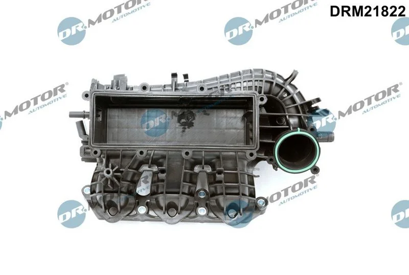 Modul sesalnega kolektorja Dr.Motor Automotive DRM21822