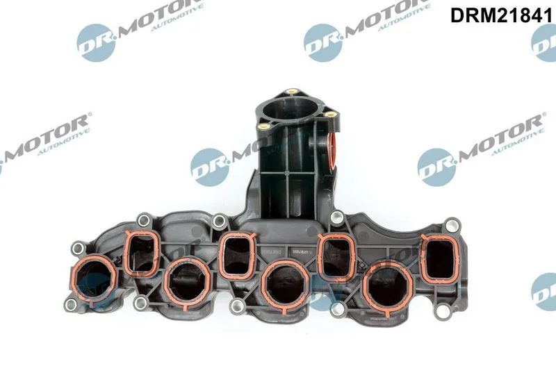 Modul sesalnega kolektorja Dr.Motor Automotive DRM21841