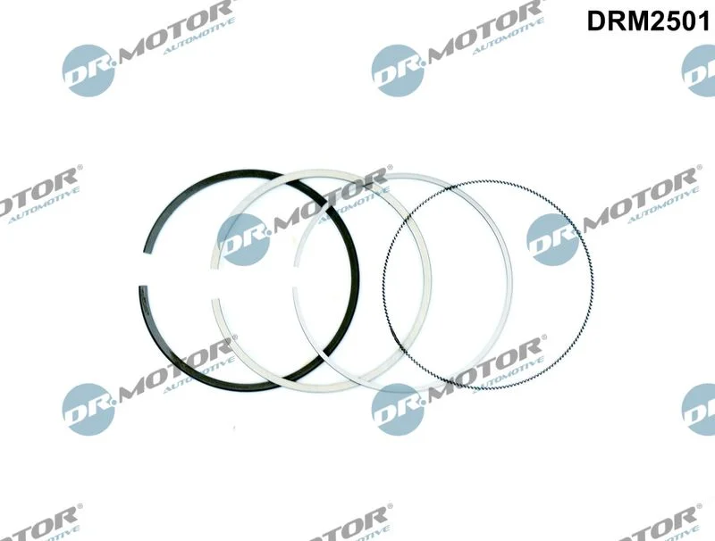 Piston Ring Set Dr.Motor Automotive DRM2501